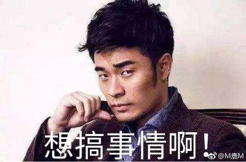 陈赫 搞事情表情包,幽默风趣，圈粉无数