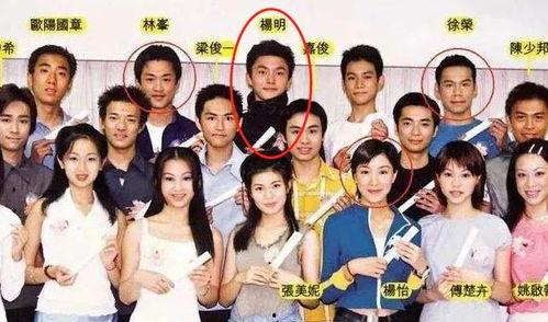 杨明娱乐反斗星,笑料百出，星光熠熠的喜剧之旅