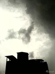 雷雨后资料,自然奇观与生态复苏