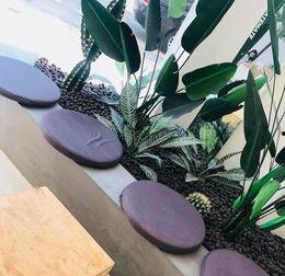 竹子 网红 扒皮,扒皮背后的真实故事