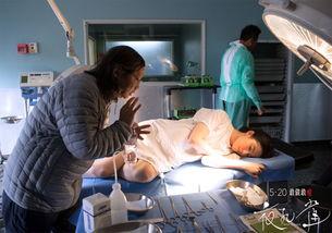 夜孔雀花絮,揭秘光影背后的匠心独运